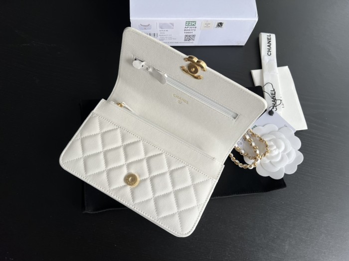 Handbag Chanel 3019 size 19 cm