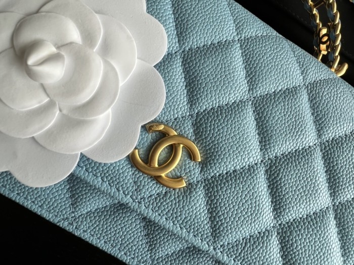 Handbag Chanel AP2806 size 19 cm