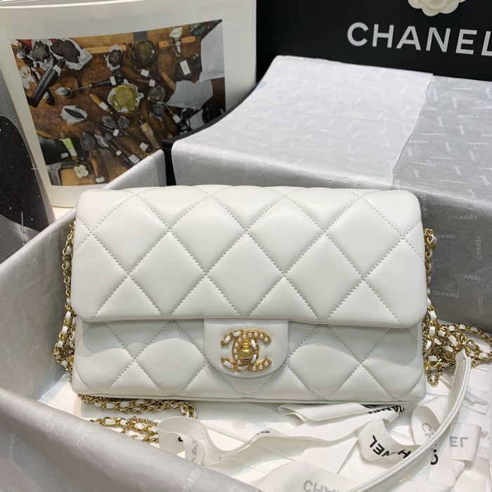 Handbag Chanel AS2563 size 25 4 15 cm