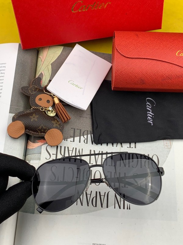 Sunglasses Cartie CK0628