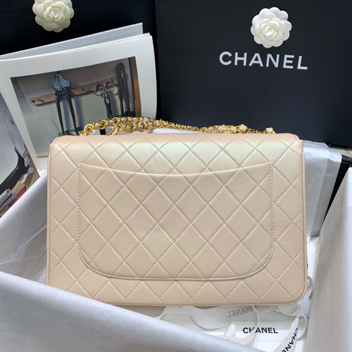 Handbag Chanel A88 size 30.21.8 cm