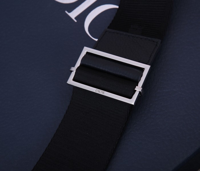 Handbag Dior 1ADPO095 size 24*17.5*3 cm