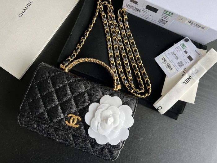 Handbag Chanel AP2806 size 19 cm