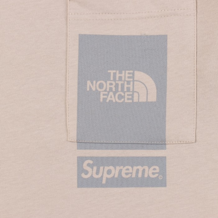 Clothes Supreme x The North Face 4