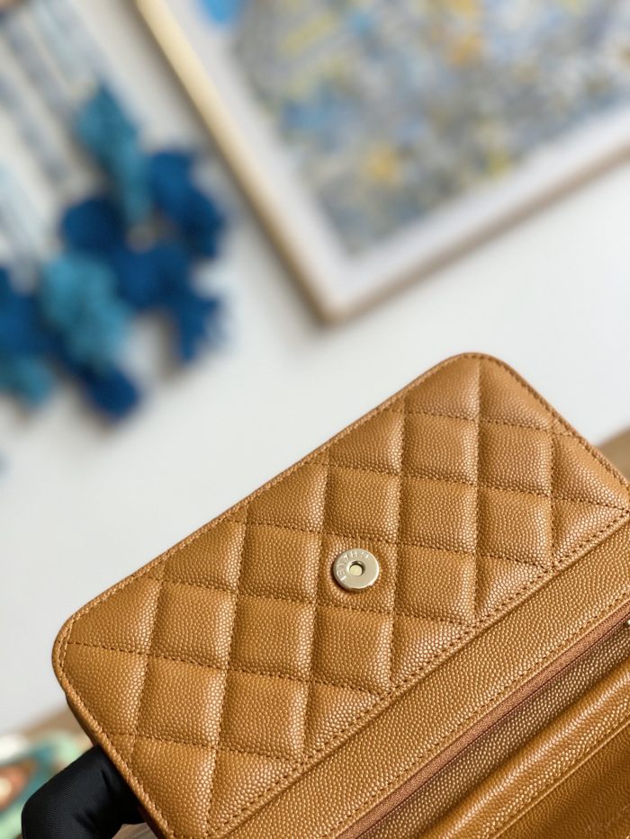 Handbag Chanel 0250 size 19 cm