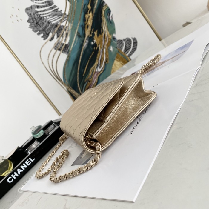 Handbag Chanel 0250 size 19 cm