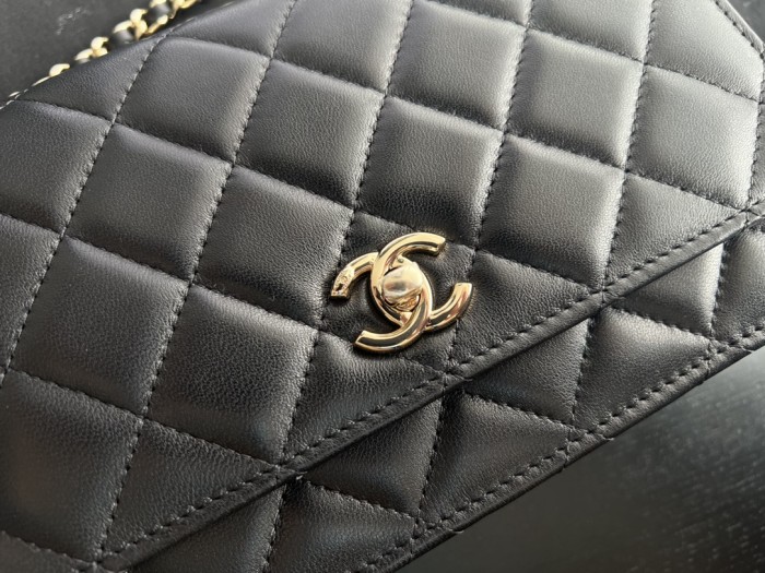 Handbag Chanel AP2303 size 19 cm
