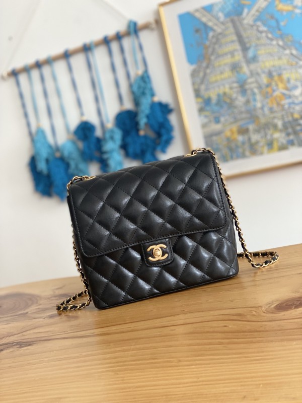 Handbag Chanel 3649 size 21 17 9 cm