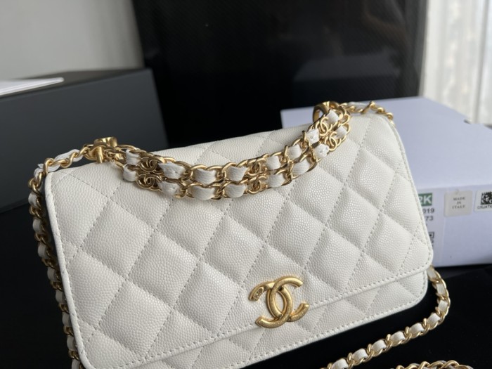 Handbag Chanel 3019 size 19 cm