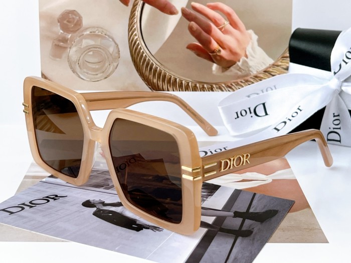 sunglasses Dior 8070