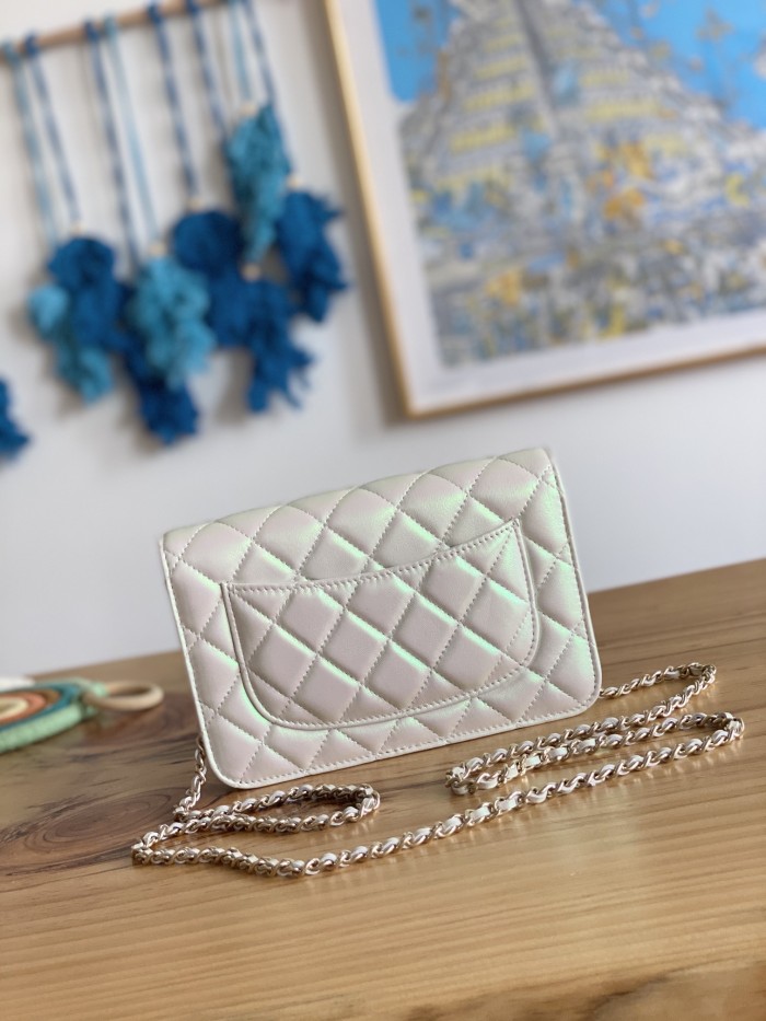 Handbag Chanel 0250 size 19 cm