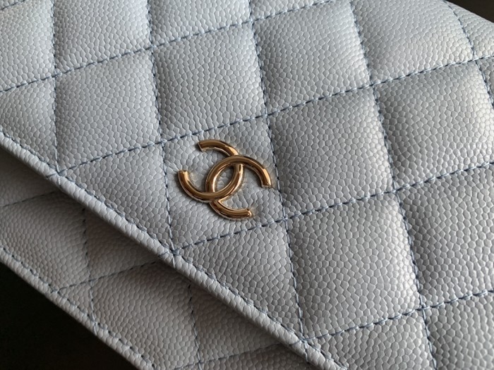 Handbag Chanel AP2400 size 19 cm