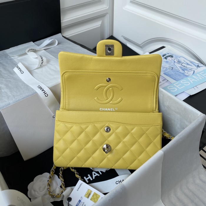 Handbag Chanel A01113 size 23 cm.