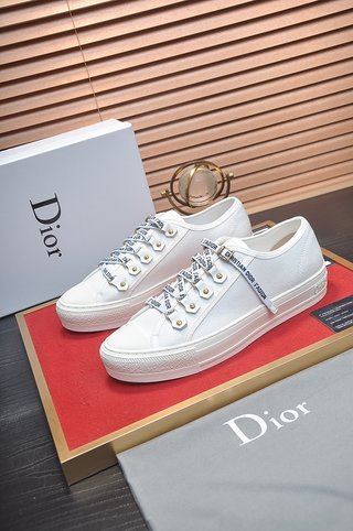 Dior Walk'N'Dior Low Top White Canvas (W)