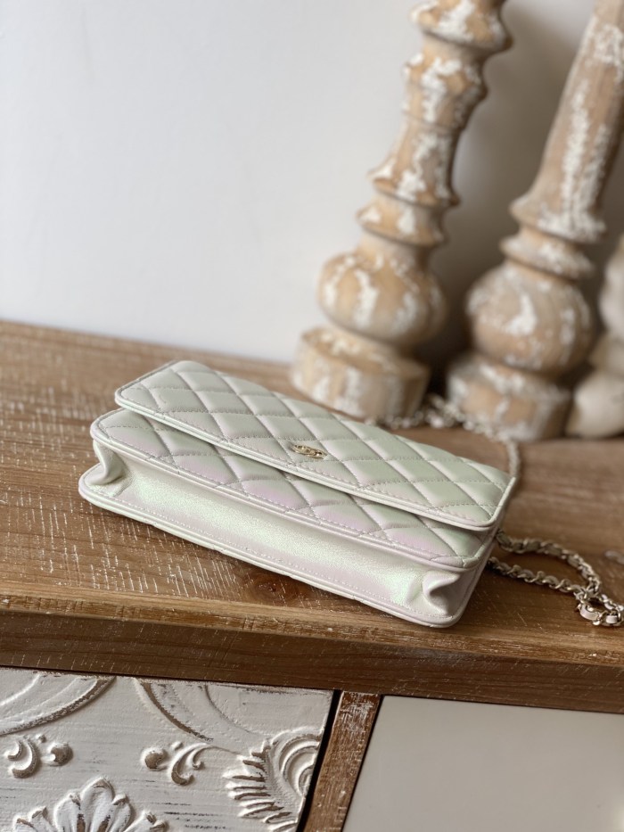 Handbag Chanel 0250 size 19 cm