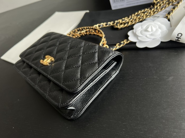 Handbag Chanel AP2806 size 19 cm