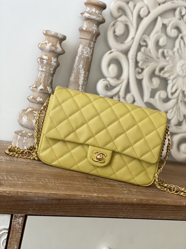 Handbag Chanel AS3777 size 16x24x8 cm