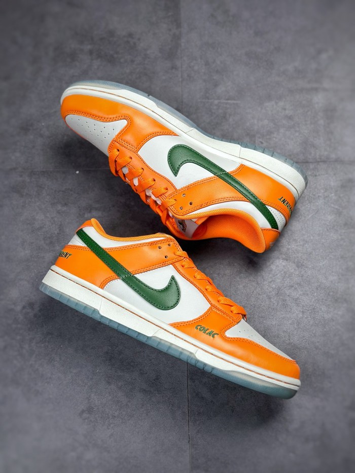 Nike Dunk Low Florida A&M University