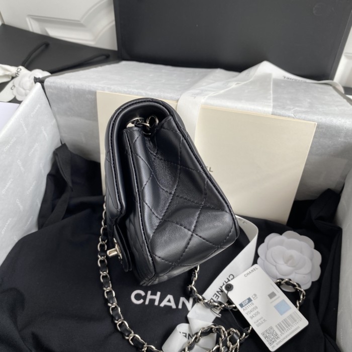 Handbag Chanel size 20 cm