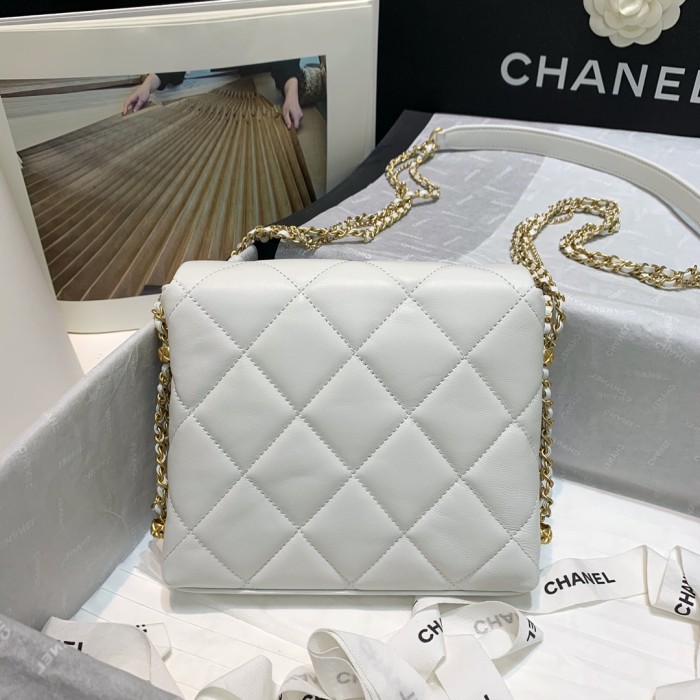 Handbag Chanel AS2588 size 19 16 4 cm
