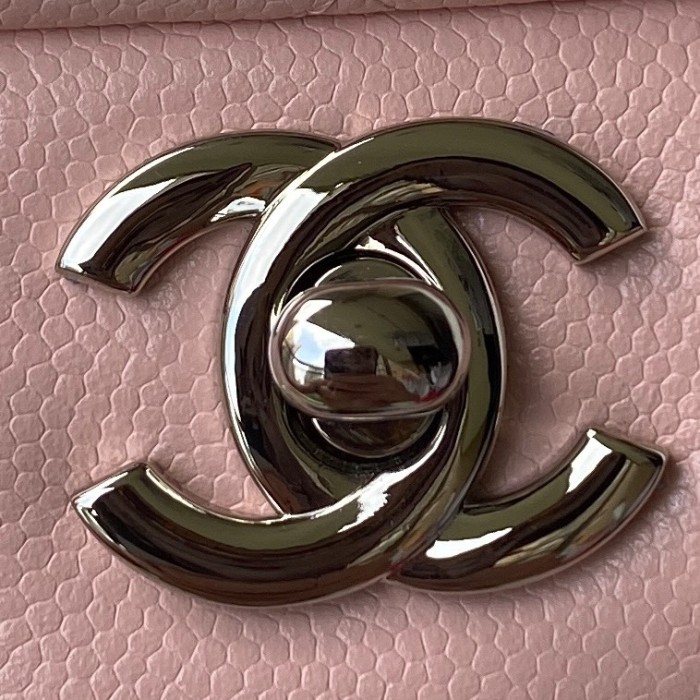 Handbag Chanel A01113 size 23 cm