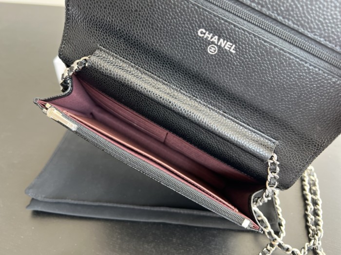 Handbag Chanel 0250 size 19 cm