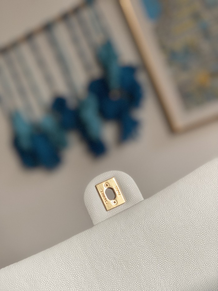 Handbag Chanel AS3777 size 16x24x8 cm