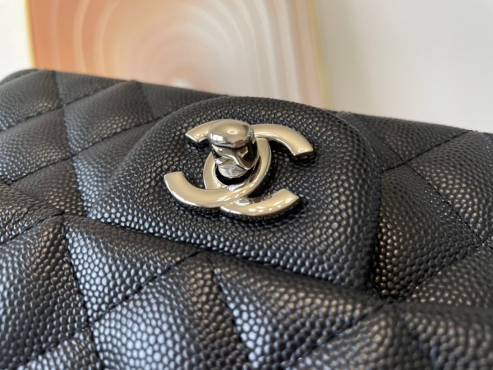 Handbag Chanel 01116 size 20 cm