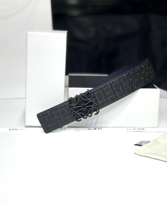 Loewe Belt 2 (width 3.9cm)