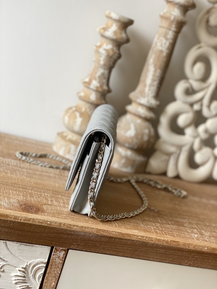 Handbag Chanel 0250 size 19 cm