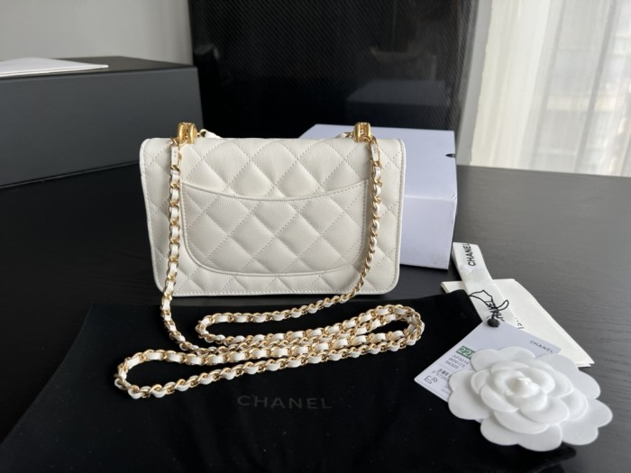 Handbag Chanel 3019 size 19 cm