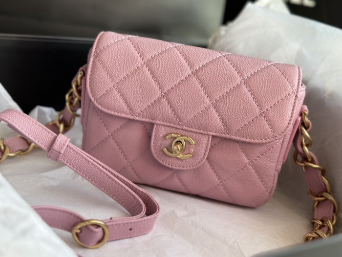 Handbag Chanel AS3181 size 14 X20 X6 cm