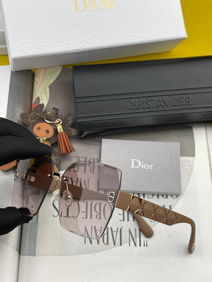 sunglasses Dior D8295