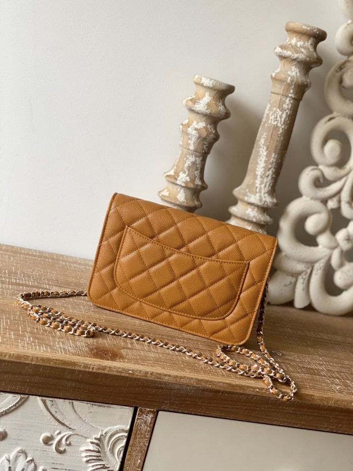 Handbag Chanel 0250 size 19 cm