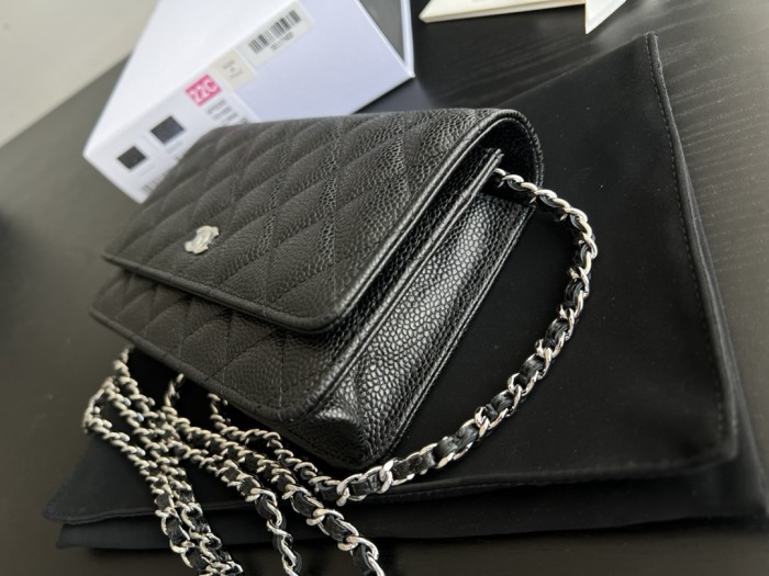 Handbag Chanel 0250 size 19 cm