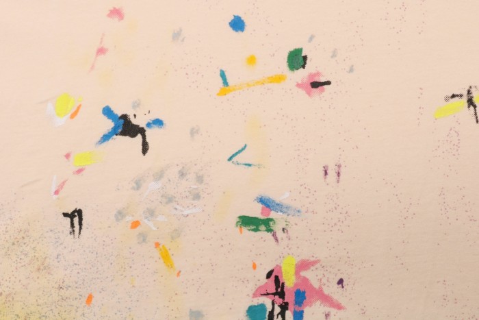 Clothes Lanvin x Gallery Dept 8