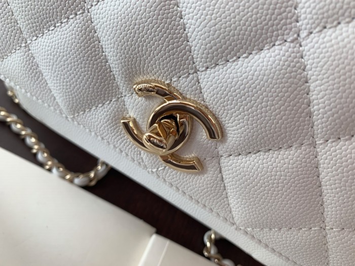 Handbag Chanel A93067 size 20 cm