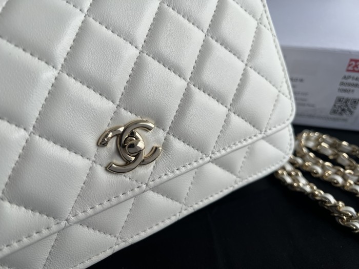 Handbag Chanel AP2303 size 19 cm