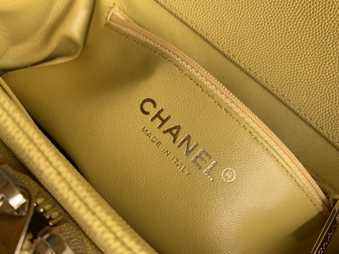 Handbag Chanel A93067 size 20 cm