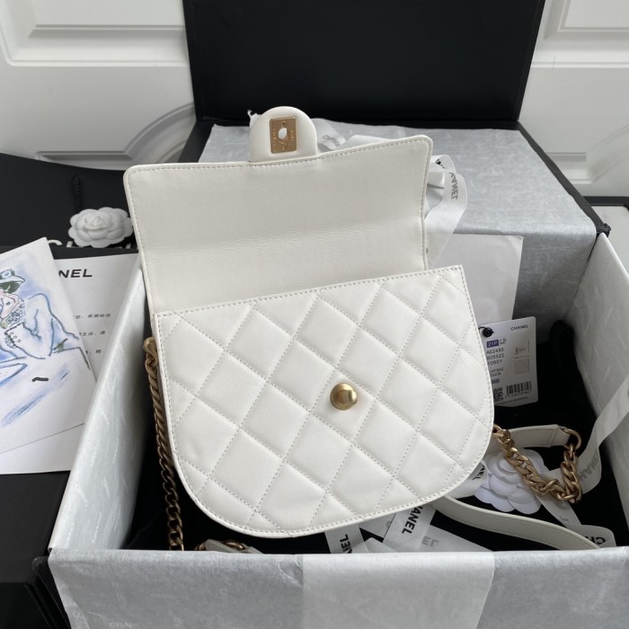 Handbag Chanel AS2484 size 15*20*6.5 cm