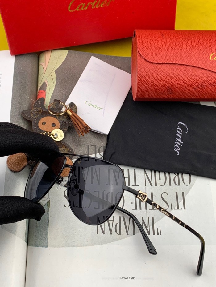 Sunglasses Cartier CK0632