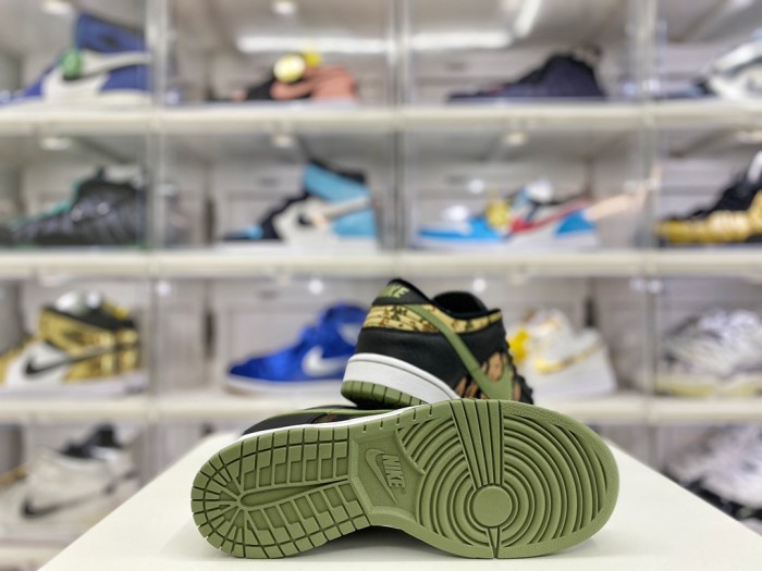 Nike Dunk Low Crazy Camo