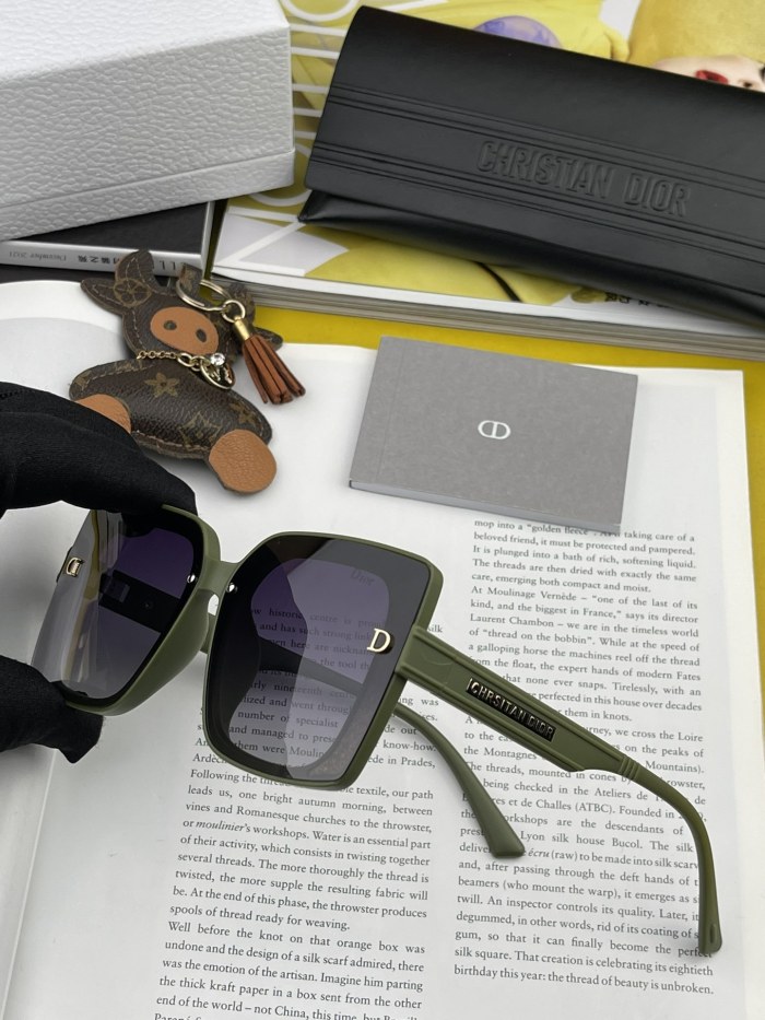 sunglasses Dior CD1615