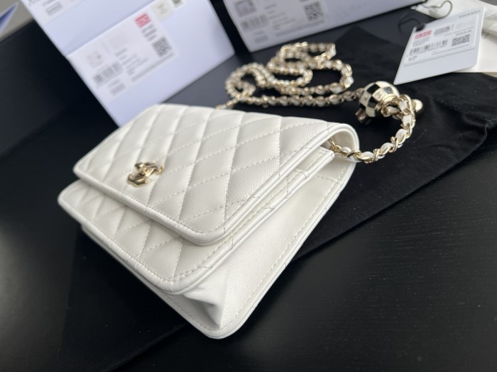 Handbag Chanel AP2303 size 19 cm