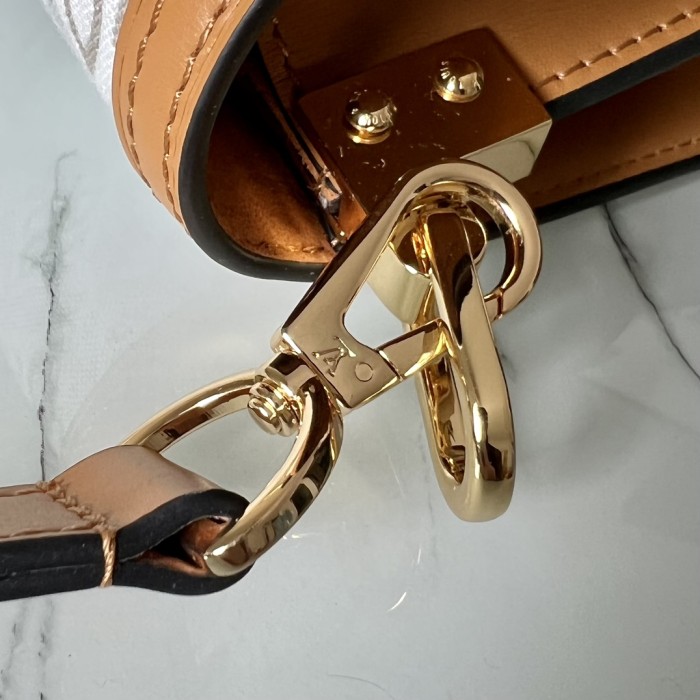 Handbag Louis Vuitton M59483 size 25.0 x 17.0 x 10.5cm , 20 x 15 x 9cm