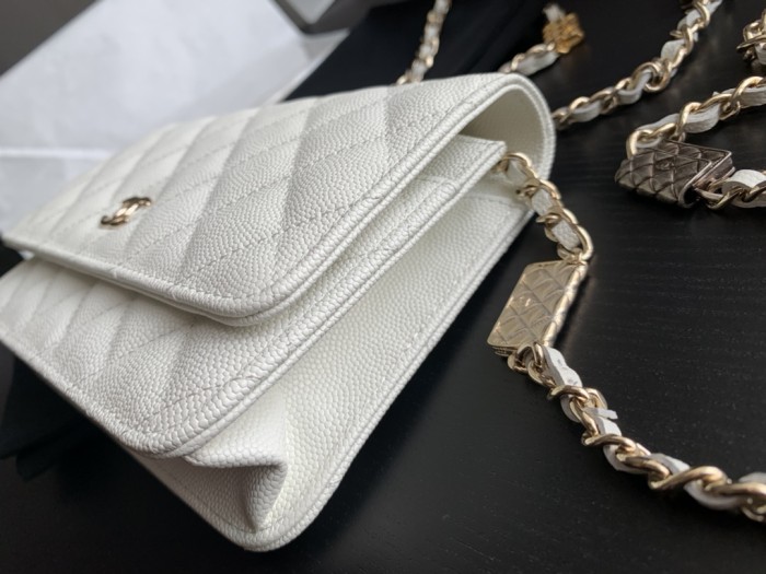 Handbag Chanel AP2400 size 19 cm