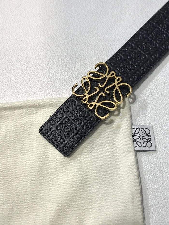 Loewe Belt 2 (width 3.9cm)