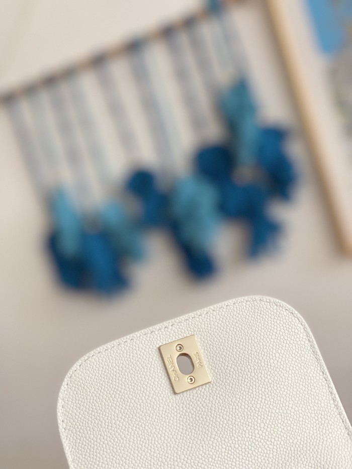 Handbag Chanel AS3530 size 19*20*12 cm