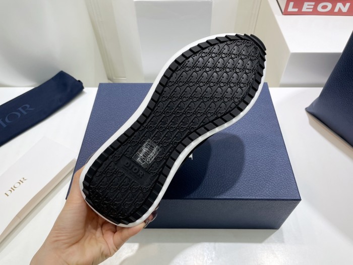 Dior B29 Grey Black White