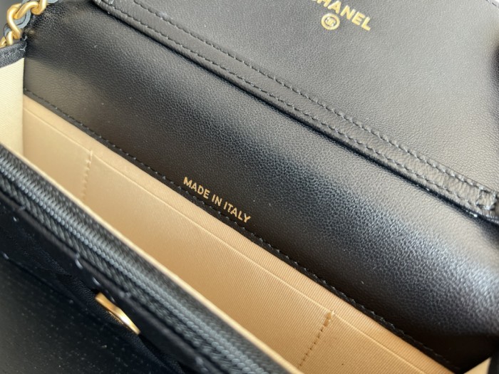 Handbag Chanel AP3071 size 17cm9cm3 cm